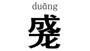 Duang